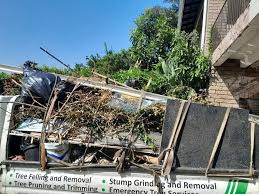  Buchanan Dam, TX Junk Removal Services Pros